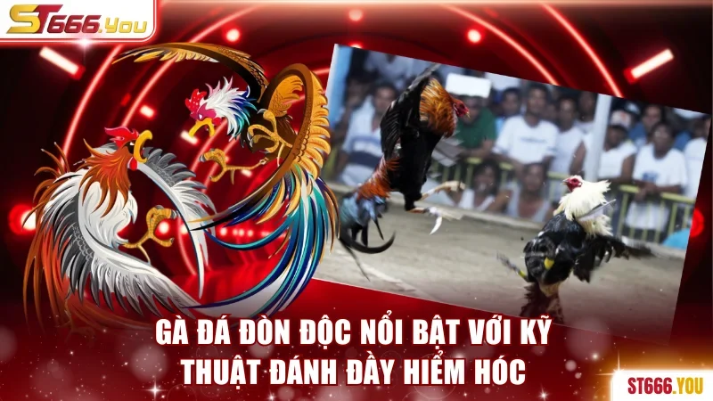 Gà đá đòn độc