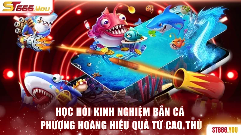 Bắn Cá Phượng Hoàng | Săn Boss Đại Dương, Thưởng x1000 4 Học hỏi kinh nghiệm Bắn cá Phượng Hoàng hiệu quả từ cao thủ