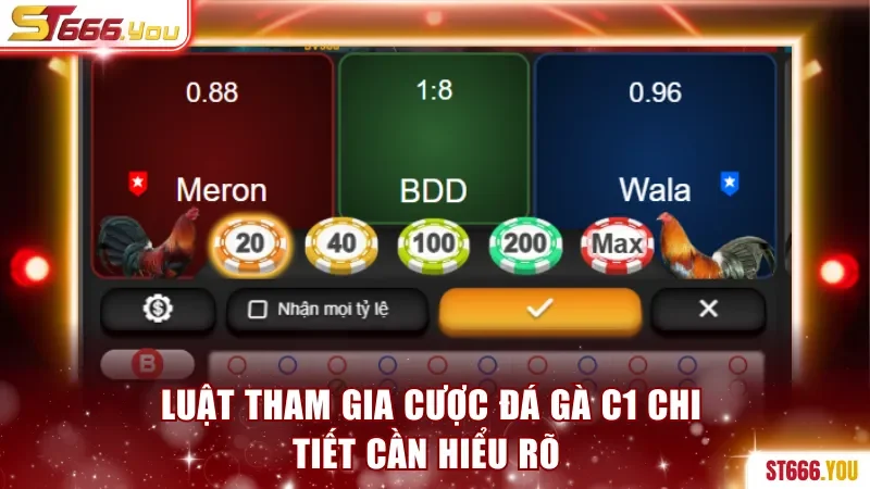 Luật tham gia cược đá gà C1 chi tiết cần hiểu rõ 