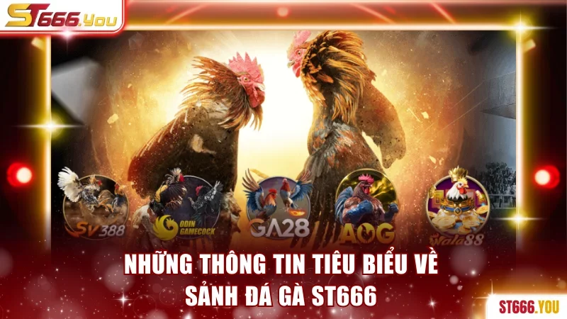 Những thông tin tiêu biểu về sảnh đá gà ST666